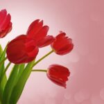 Что подарить женщине на 70 images207.jpg